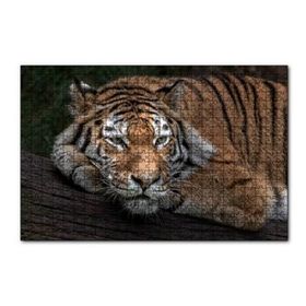 Cakapuzzle Sibirya Kaplanı Dalda Dinleniyor 120 Parça Ahşap Puzzle