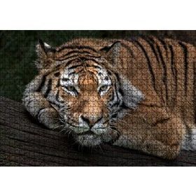 Cakapuzzle Sibirya Kaplanı Dalda Dinleniyor 120 Parça Ahşap Puzzle