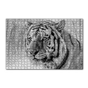 Cakapuzzle Sibirya Kaplanı Siyah Beyaz Yakın Çekim 120 Parça Ahşap Puzzle