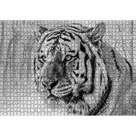 Cakapuzzle Sibirya Kaplanı Siyah Beyaz Yakın Çekim 120 Parça Ahşap Puzzle