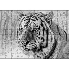 Cakapuzzle Sibirya Kaplanı Siyah Beyaz Yakın Çekim 120 Parça Ahşap Puzzle