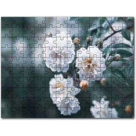 Cakapuzzle Sıkı Dostlar Sevimli Köpek ve Kedicik Mdf 500 Parça Puzzle