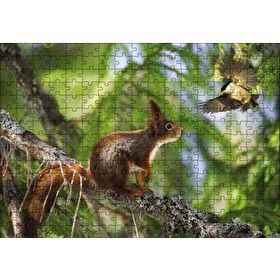 Cakapuzzle Sincap Kuş Muhabbeti Ahşap 255 Parça Puzzle