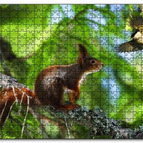 Cakapuzzle Sincap Kuş Muhabbeti Ahşap 500 Parça Puzzle