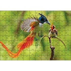 Cakapuzzle Sinekkapan Kuşu Yavrusunu Besliyor 120 Parça Ahşap Puzzle