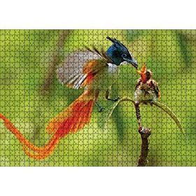 Cakapuzzle Sinekkapan Kuşu Yavrusunu Besliyor Mdf 1000 Parça Puzzle