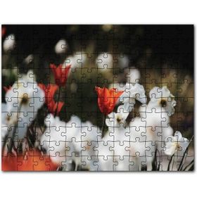 Cakapuzzle Sisler İçindeki Yemyeşil Orman Mdf 1000 Parça Puzzle