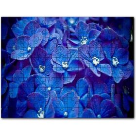 Cakapuzzle Sisli Ormandaki Nehir ve Boş Bank Mdf 1000 Parça Puzzle