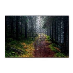 Cakapuzzle Sisli Ormandaki Patika 120 Parça Ahşap Puzzle