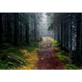 Cakapuzzle Sisli Ormandaki Patika 120 Parça Ahşap Puzzle