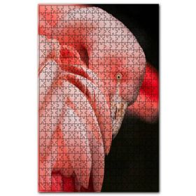 Cakapuzzle Siyah Arkaplan Flamingo Yakın Plan Ahşap 255 Parça Puzzle