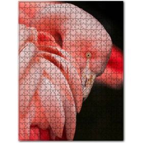 Cakapuzzle Siyah Arkaplan Flamingo Yakın Plan Ahşap 255 Parça Puzzle