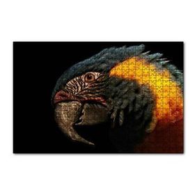 Cakapuzzle Siyah Arkaplan Turuncu Siyah Macaw 120 Parça Ahşap Puzzle