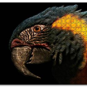 Cakapuzzle Siyah Arkaplan Turuncu Siyah Macaw Mdf 1000 Parça Puzzle