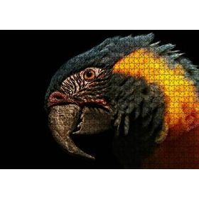 Cakapuzzle Siyah Arkaplan Turuncu Siyah Macaw Mdf 1000 Parça Puzzle