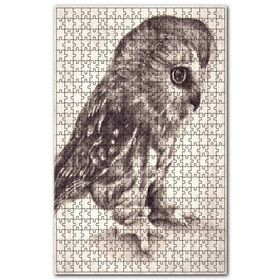 Cakapuzzle Siyah Bayaz Düşünen Baykuş Görseli Ahşap 1000 Parça Puzzle