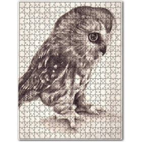 Cakapuzzle Siyah Bayaz Düşünen Baykuş Görseli Ahşap 255 Parça Puzzle