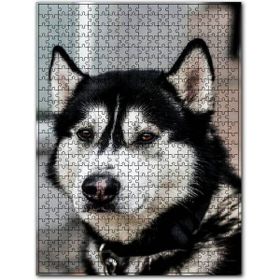 Cakapuzzle Siyah Beyaz Husky Köpeği 255 Parça Puzzle