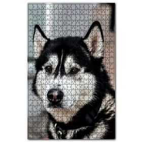 Cakapuzzle Siyah Beyaz Husky Köpeği Ahşap 1000 Parça Puzzle