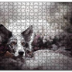 Cakapuzzle Siyah Beyaz İngliz Çoban Köpeği Mdf 500 Parça Puzzle
