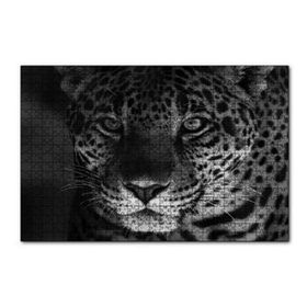 Cakapuzzle Siyah Beyaz Jaguar 120 Parça Ahşap Puzzle