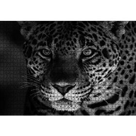 Cakapuzzle Siyah Beyaz Jaguar 120 Parça Ahşap Puzzle