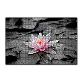 Cakapuzzle Siyah Beyaz Lotus Yaprakları ve Pembe Nilüfer Çiçeği 120 Parça Ahşap Puzzle