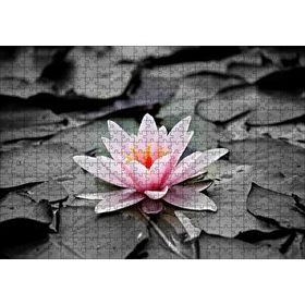 Cakapuzzle Siyah Beyaz Lotus Yaprakları ve Pembe Nilüfer Çiçeği 120 Parça Ahşap Puzzle