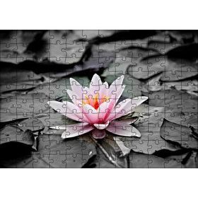 Cakapuzzle Siyah Beyaz Lotus Yaprakları ve Pembe Nilüfer Çiçeği 120 Parça Ahşap Puzzle