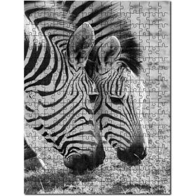 Cakapuzzle Siyah Beyaz Zebra Görseli 120 Parça Puzzle