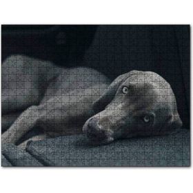 Cakapuzzle Siyah Doghound Siyah Zemin Karanlık Arkaplan Mdf 255 Parça Puzzle