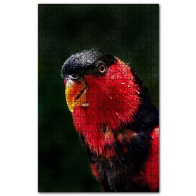 Cakapuzzle Siyah Göğüslü Lori Ahşap 255 Parça Puzzle