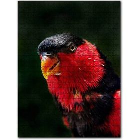 Cakapuzzle Siyah Göğüslü Lori Ahşap 500 Parça Puzzle