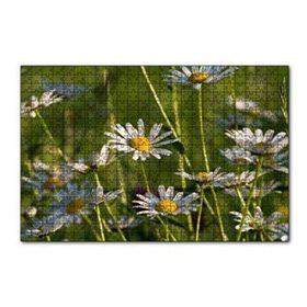 Cakapuzzle Siyah Papatyalar 120 Parça Puzzle
