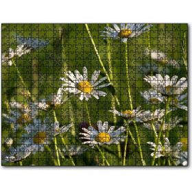 Cakapuzzle Siyah Papatyalar 120 Parça Puzzle