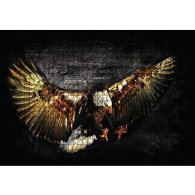 Cakapuzzle Siyah Zeminde Kartal 1000 Parça Puzzle