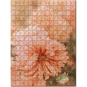 Cakapuzzle Soluk Pembe Renkli Çiçekler Yakın Çekim 255 Parça Puzzle