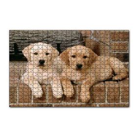 Cakapuzzle Şöminenin Önünde İki Labrador Yavrusu 120 Parça Ahşap Puzzle