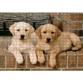 Cakapuzzle Şöminenin Önünde İki Labrador Yavrusu 500 Parça Puzzle