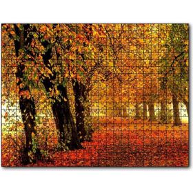 Cakapuzzle Sonbahar Orman Yolu ve Yapraklar 1000 Parça Puzzle
