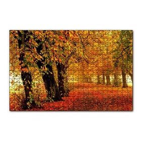 Cakapuzzle Sonbahar Orman Yolu ve Yapraklar 120 Parça Ahşap Puzzle