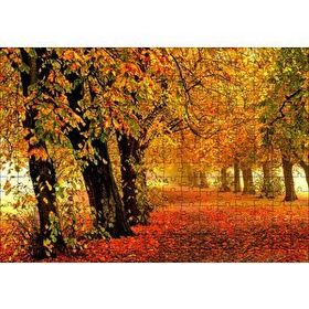 Cakapuzzle Sonbahar Orman Yolu ve Yapraklar 255 Parça Puzzle