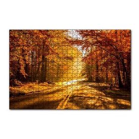 Cakapuzzle Sonbahar Ormandan Geçen Yol ve Güneş Işınları 255 Parça Puzzle