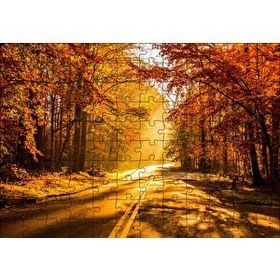 Cakapuzzle Sonbahar Ormandan Geçen Yol ve Güneş Işınları 255 Parça Puzzle