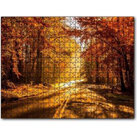 Cakapuzzle Sonbahar Ormandan Geçen Yol ve Güneş Işınları Mdf 1000 Parça Puzzle