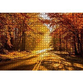 Cakapuzzle Sonbahar Ormandan Geçen Yol ve Güneş Işınları Mdf 1000 Parça Puzzle