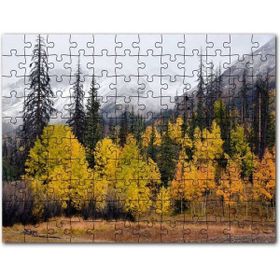 Cakapuzzle Sonbahar Rengi Ağaçlar ve Arkada Karlı Dağlar Mdf 255 Parça Puzzle