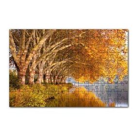 Cakapuzzle Sonbahar Rengi Ağaçlar ve Durgun Göl 120 Parça Ahşap Puzzle