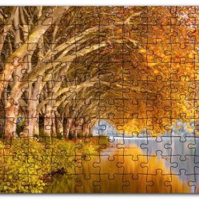 Cakapuzzle Sonbahar Rengi Ağaçlar ve Durgun Göl Mdf 500 Parça Puzzle