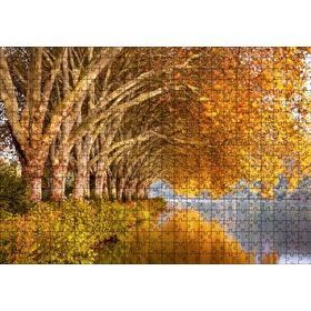 Cakapuzzle Sonbahar Rengi Ağaçlar ve Durgun Göl Mdf 500 Parça Puzzle